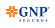 Major Medical Insurance Policy
