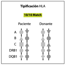 tabla de compatibilidades.