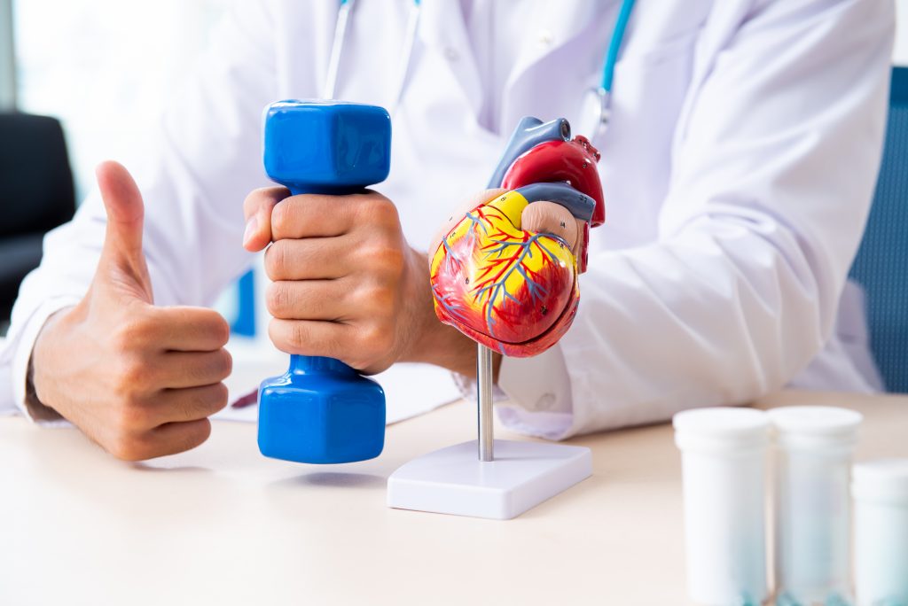Médico sosteniendo una mancuerna con una mano y levantando el pulgar con la otra, junto a un modelo del corazón para representar al ejercicio físico y salud cardiovascular.
