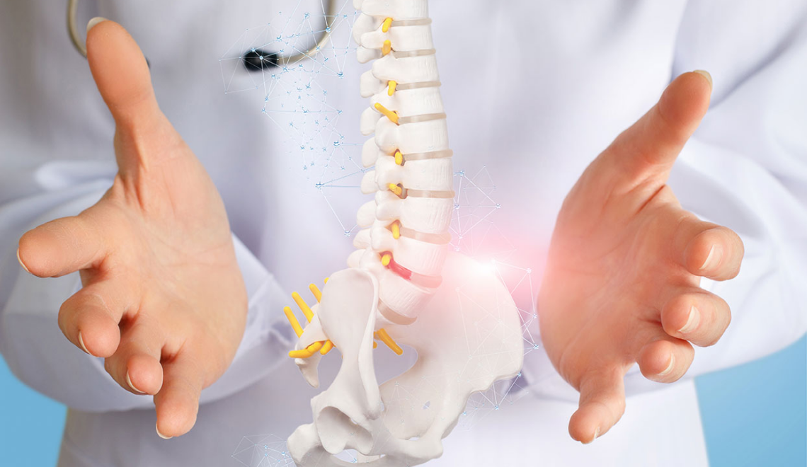 Manos de medico e ilustración de columna vertebral