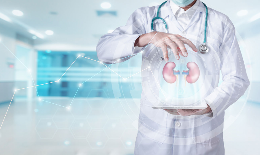 Seguimiento clinica de salud renal