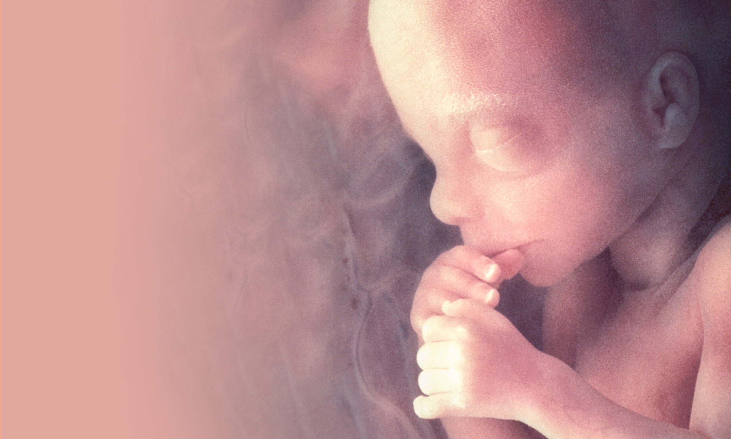 1er Simposio de Medicina y Cirugía Fetal del Centro Médico Saludora