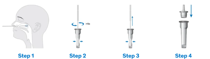 Differences Between Rapid SARS-CoV-2 Antigen Test and PCR Test